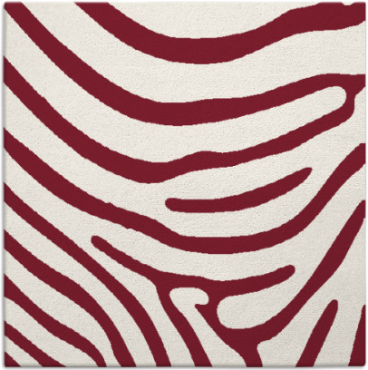 proud zebra rug - item 1135683