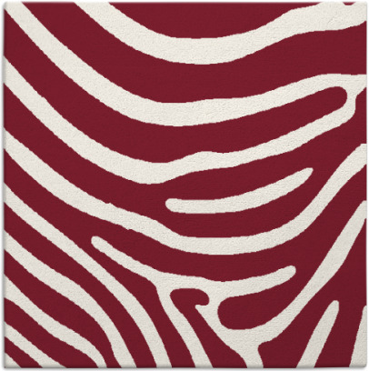 proud zebra rug - item 1135684