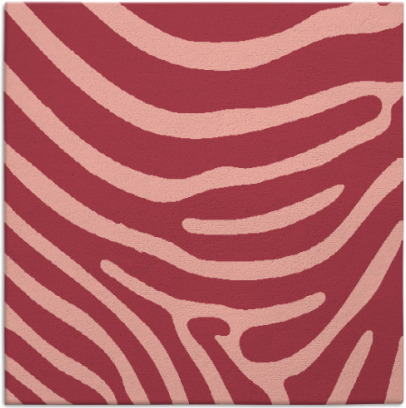 proud zebra rug - item 1135688