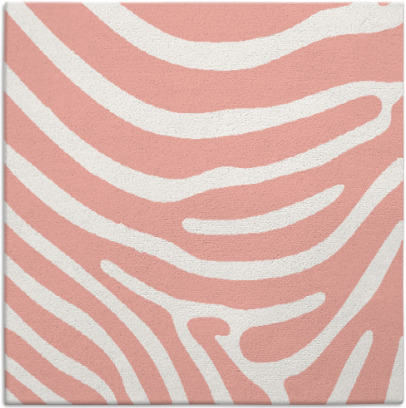 proud zebra rug - item 1135692
