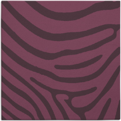 proud zebra rug - item 1135695