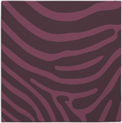 proud zebra rug - item 1135696