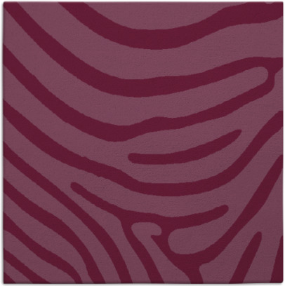 proud zebra rug - item 1135697