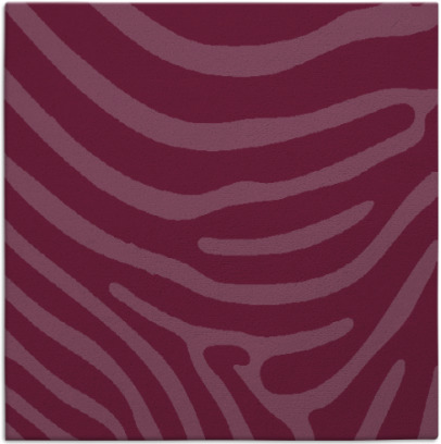 proud zebra rug - item 1135698