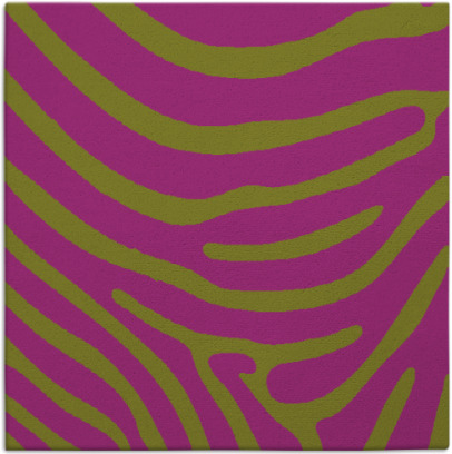 proud zebra rug - item 1135702