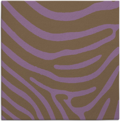 proud zebra rug - item 1135705