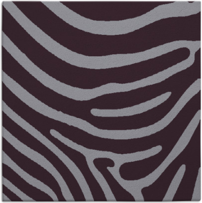 proud zebra rug - item 1135708