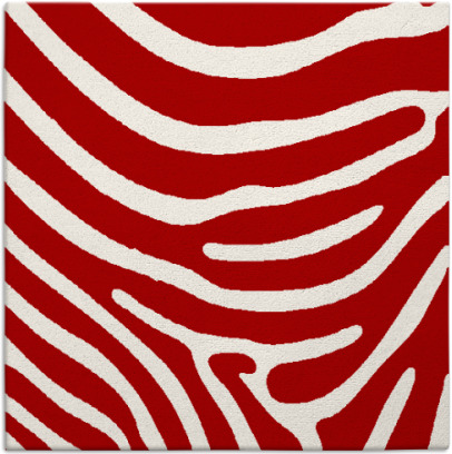 proud zebra rug - item 1135712