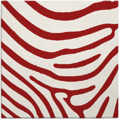 proud zebra rug - item 1135719
