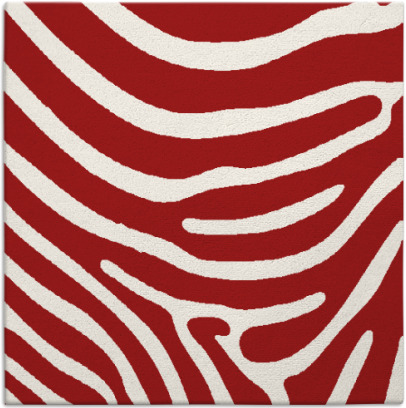 proud zebra rug - item 1135720