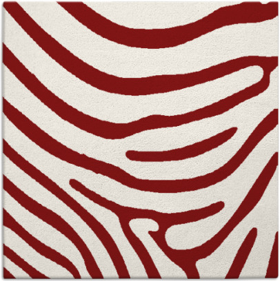 proud zebra rug - item 1135721