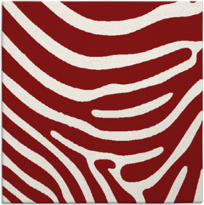 proud zebra rug - item 1135722