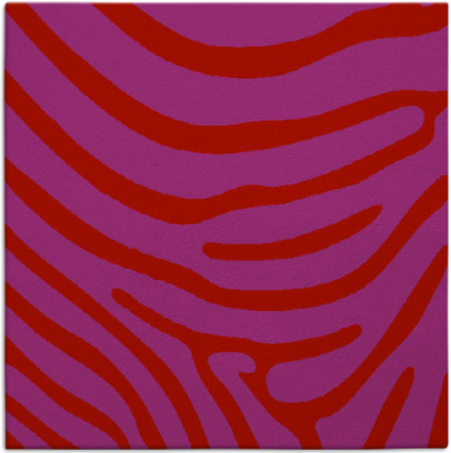 proud zebra rug - item 1135723