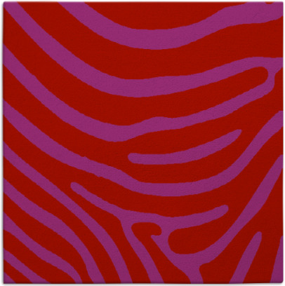 proud zebra rug - item 1135724