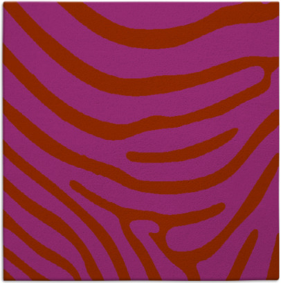 proud zebra rug - item 1135725