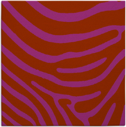 proud zebra rug - item 1135726