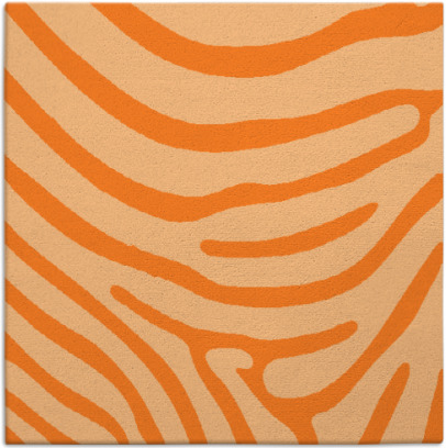 proud zebra rug - item 1135733