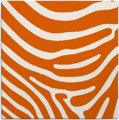 proud zebra rug - item 1135739