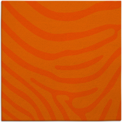 proud zebra rug - item 1135741