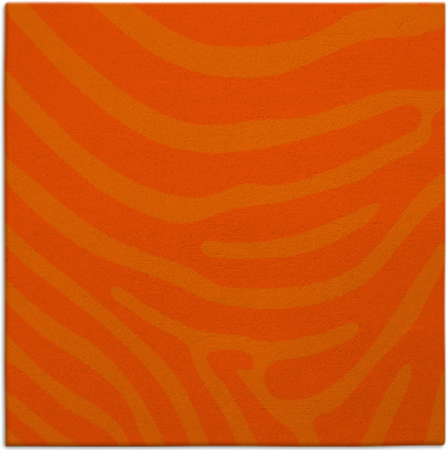 proud zebra rug - item 1135742