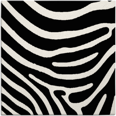 proud zebra rug - item 1135743