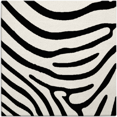 proud zebra rug - item 1135744