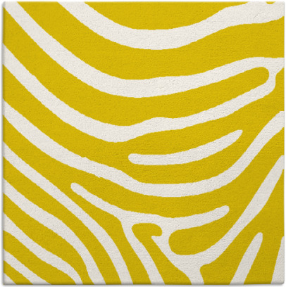 proud zebra rug - item 1135747