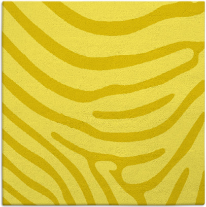 proud zebra rug - item 1135750