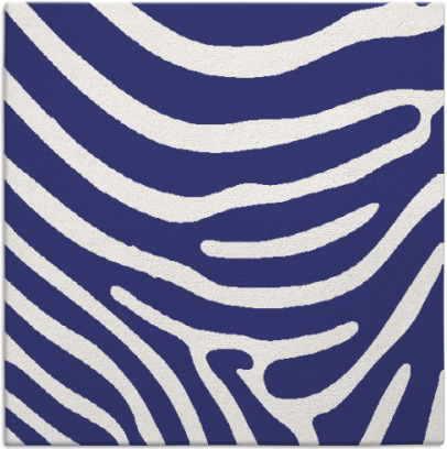 proud zebra rug - item 1135751
