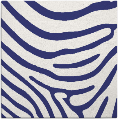 proud zebra rug - item 1135752