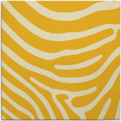 proud zebra rug - item 1135771
