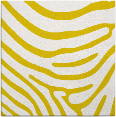 proud zebra rug - item 1135779