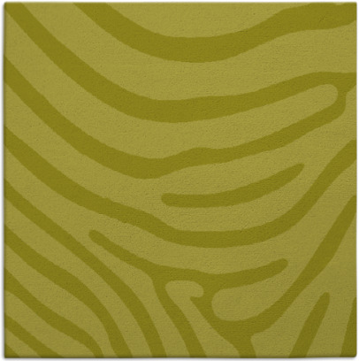 proud zebra rug - item 1135793