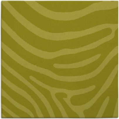 proud zebra rug - item 1135794