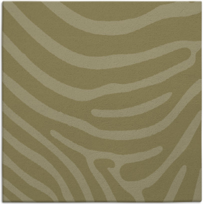 proud zebra rug - item 1135796