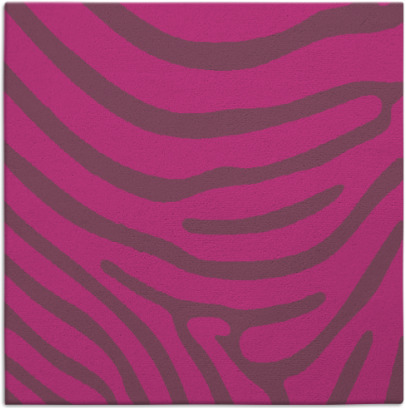 proud zebra rug - item 1135801