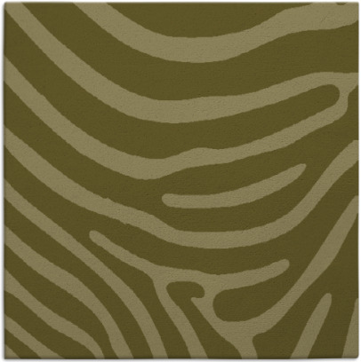 proud zebra rug - item 1135804