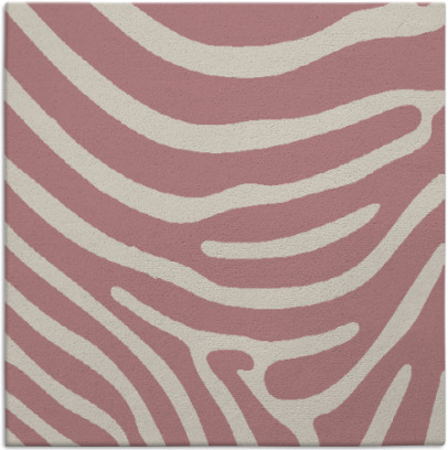 proud zebra rug - item 1135812