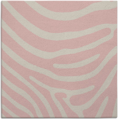 proud zebra rug - item 1135814