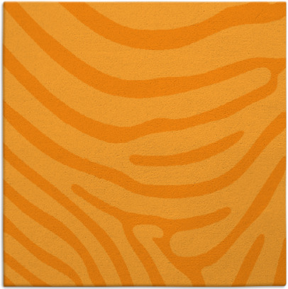 proud zebra rug - item 1135815
