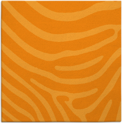 proud zebra rug - item 1135816