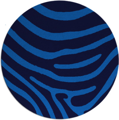 proud zebra rug - item 1136591