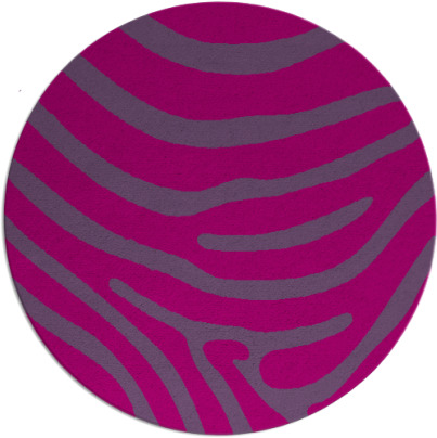 proud zebra rug - item 1136597