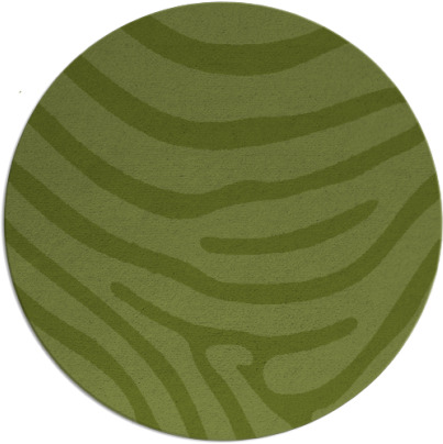 proud zebra rug - item 1136605