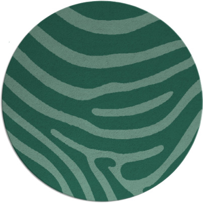 proud zebra rug - item 1136616