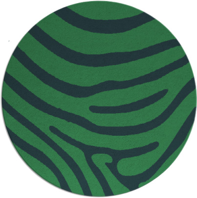 proud zebra rug - item 1136626