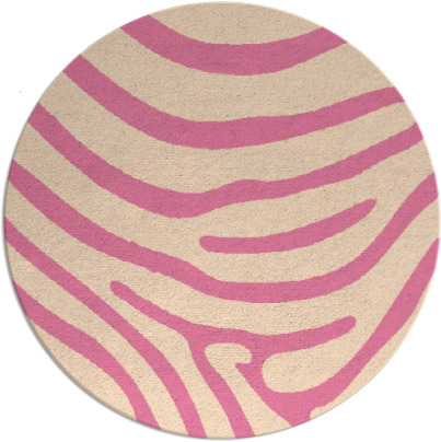 proud zebra rug - item 1136628