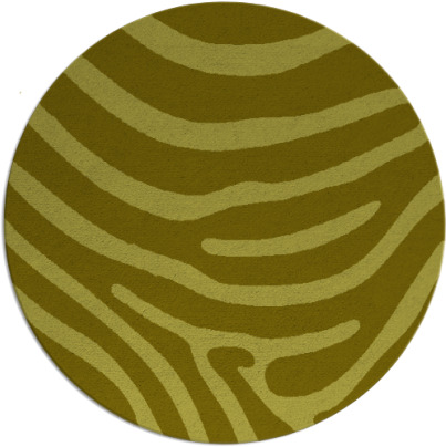 proud zebra rug - item 1136637