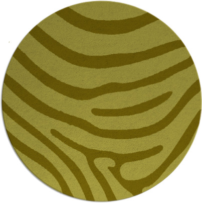 proud zebra rug - item 1136638