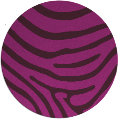 proud zebra rug - item 1136641